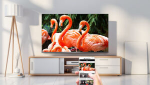 Android Tivi TCL 4K 50 inch 50T65 10