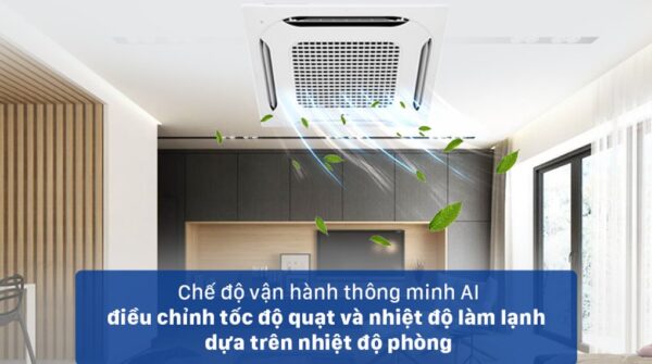 Điều hòa âm trần LG ATNQ24GPLE7 24000BTU 5