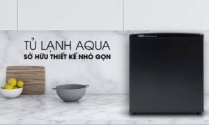 Tu lanh Aqua 50 lit AQR D59FABS 2