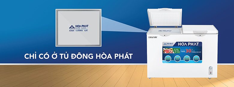 Tủ đông Hòa Phát 205 lít HCF 506S2Đ2