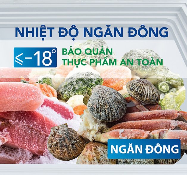 Tủ Đông Hòa Phát HCF-516S1Đ1 252 Lít 