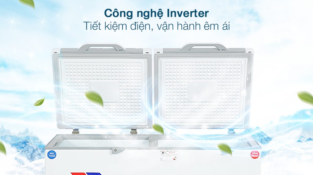 Tủ đông Sanaky Inverter 260 lít VH-3699W4K