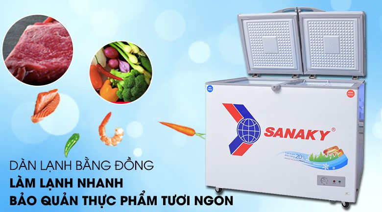 Tủ đông Sanaky 220 lít VH-2899W1